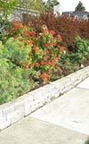 Sample Stonework